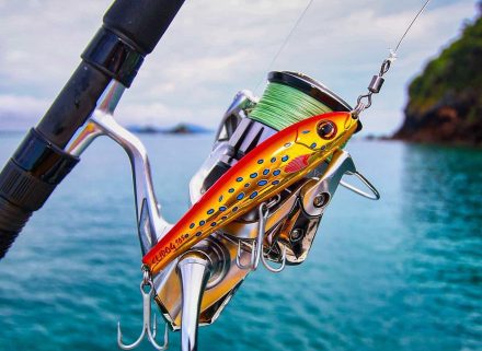 Fish-tales Of Kampong Gelam